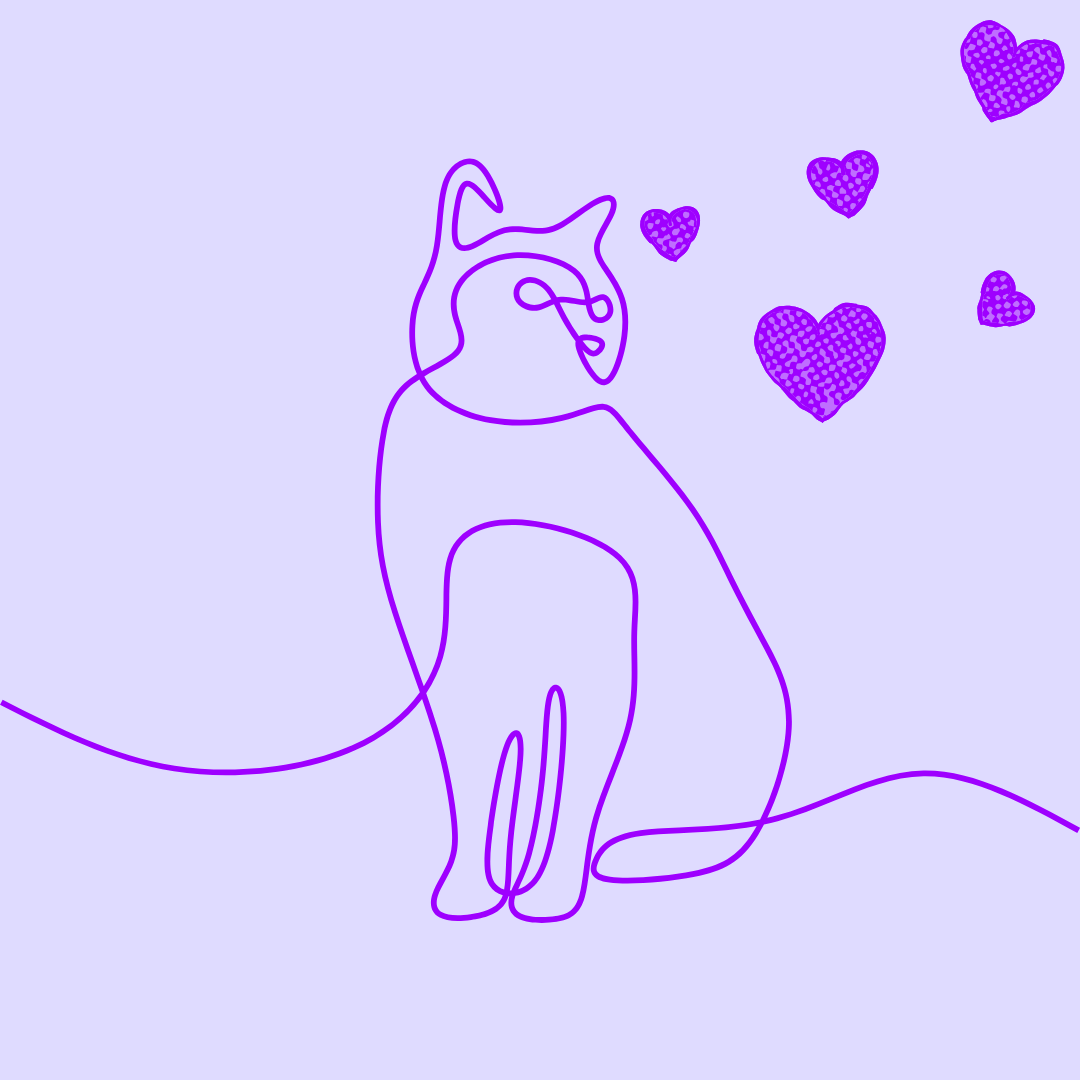 Image of a cat looking at lovehearts